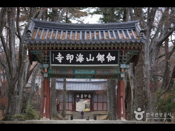 海印寺テンプルステイ | 해인사 산사체험 : トリップポーズ