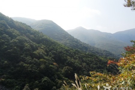 迦智山道立公園