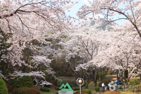 Jangboksan Sculpture Park 