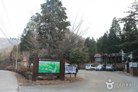 Namhae Pyeonbaek Recreational Forest 