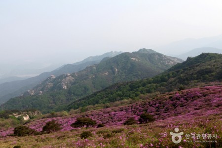 Hwangmaesan Mountain 