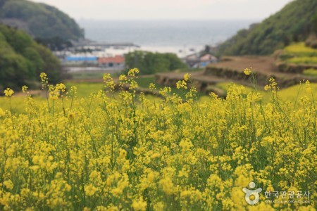 トゥモ村（두모마을）