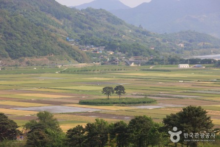 平沙里原野