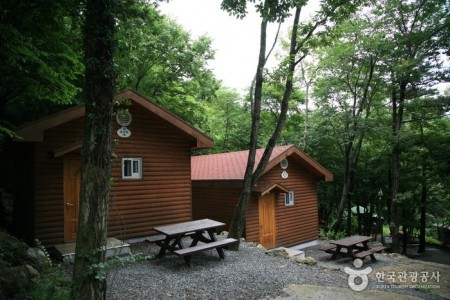 Geoje Recreational Forest 