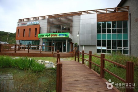 Upo Wetland Cyber Ecological Park 