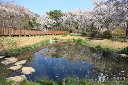 镇海内水面环境生态公园