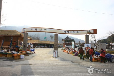 [河東樸景利土地街路線2]十裡櫻花路~國師庵[하동 박경리 토지길 2코스] 십리벚꽃길~국사암