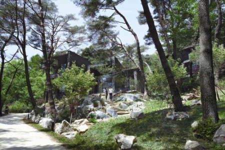 Resom Forest (리솜 포레스트)