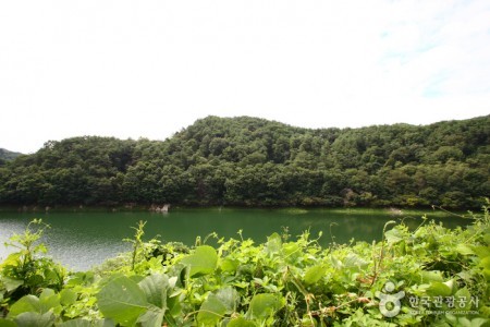 清風湖 桜祭り