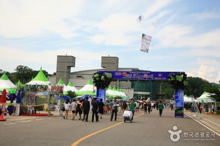 Yeongdong Grape Festival 