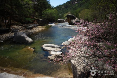 Seonyudong Valley 