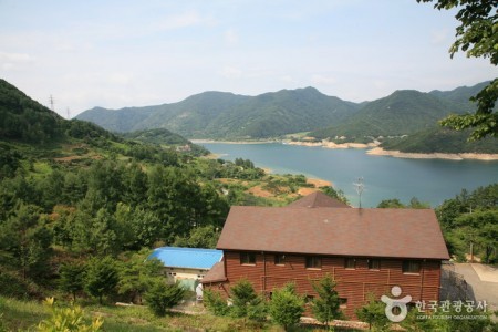 雞鳴山自然休養林