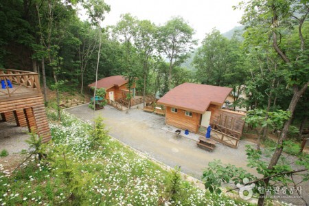 Jwagusan Natural Recreation Forest (좌구산자연휴양림)