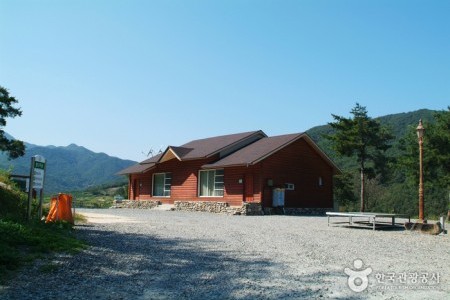 Bonghwang Natural Forest (봉황자연휴양림)