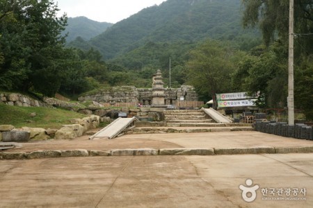 Chungju Mireukdaewon Stone Temple Site (충주 미륵대원지)