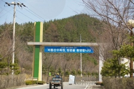 Midongsan Arboretum (미동산수목원)