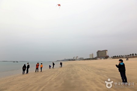 Daecheon Beach 