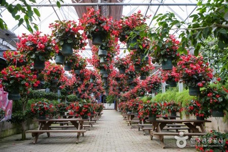 世界花植物園