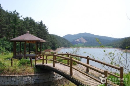 フィリ山海松自然休養林