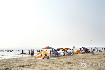 青浦台海水浴场