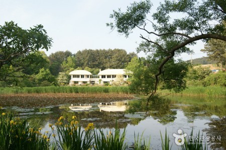 千里浦樹木園