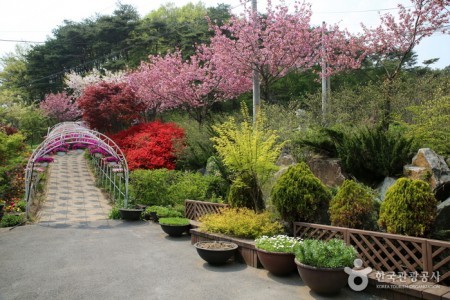 コウン植物園