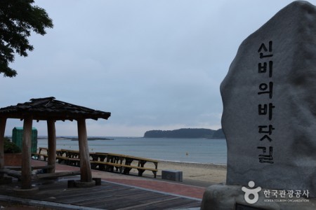 武昌浦 神秘の海割れ祭り