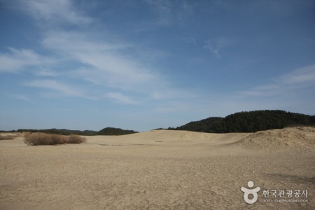 新斗里海岸沙丘