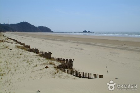 Anmyeon Beach 