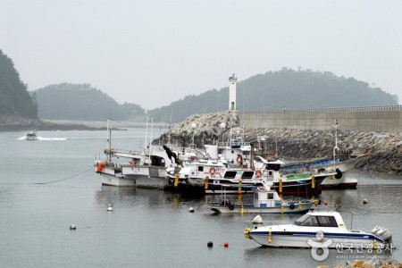 泰安茅項港水産物祭り