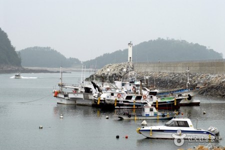 泰安茅项港海鲜节태안 모항항 수산물