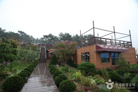 Pinocchio pension - Goodstay 