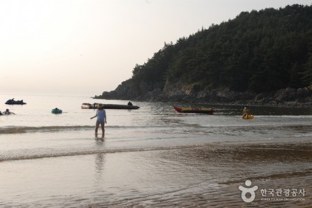 Baengnipo Beach (백리포해수욕장)