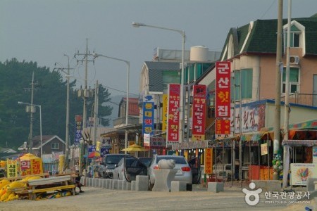 武昌浦神秘の海割れ大海老・コノシロ祭り무창포 신비의 바닷길 대하ㆍ전어축제