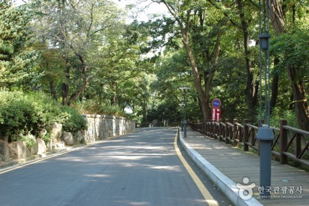 Sajik Park 