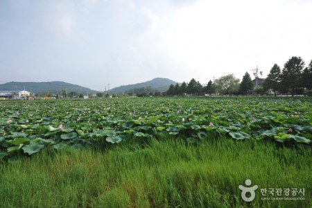 Jeonpyeongje Reservoir (전평제)