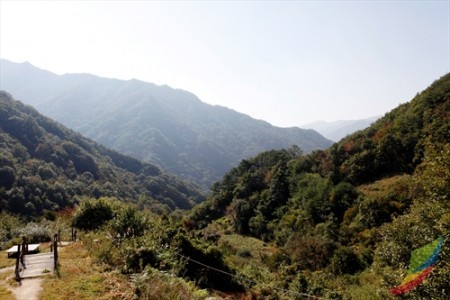 智異山國立公園