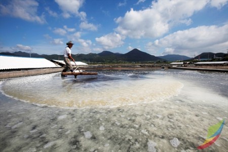 熊沼鹽田