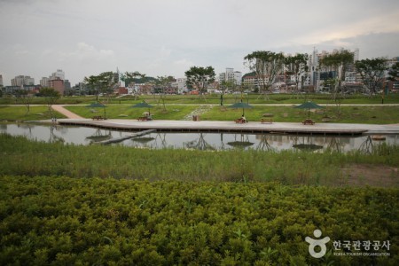 Taehwagang River 