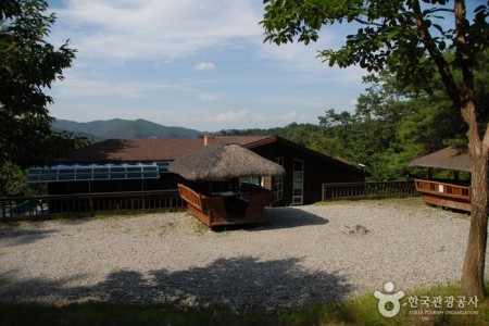 金剛自然休養林（金剛樹木園、山林博物館）