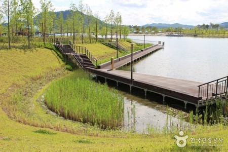 Sejong Lake Park 