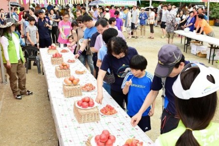 退村トマト祭り