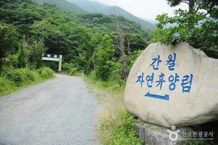 Ganwol Recreational Forest 