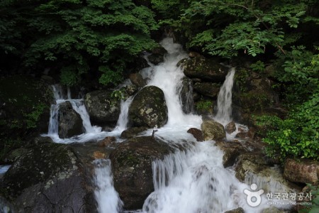 Baegunsan Donggok Valley (백운산 동곡계곡)