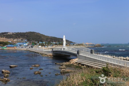 瑟岛