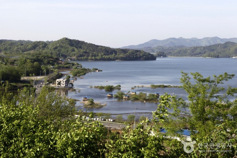 A Day in South Korea – Crucian Carp Fishing Park