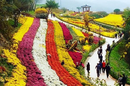 Namsan Park - Seoul 