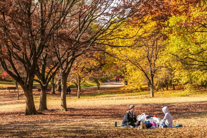 オリンピック公園 올림픽공원 トリップポーズ