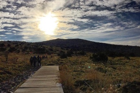 Hallasan National Park [UNESCO World Heritage] 