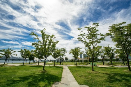 漢江市民公園 汝矣島地区（汝矣島漢江公園）한강시민공원 여의도지구